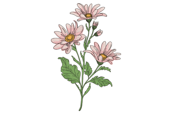 Beautiful Pink Daisy Flower Review