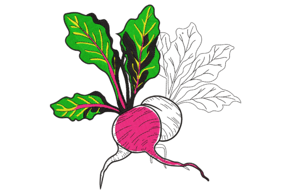 Bold Beets: A Designer's Honest Review for Real Projects